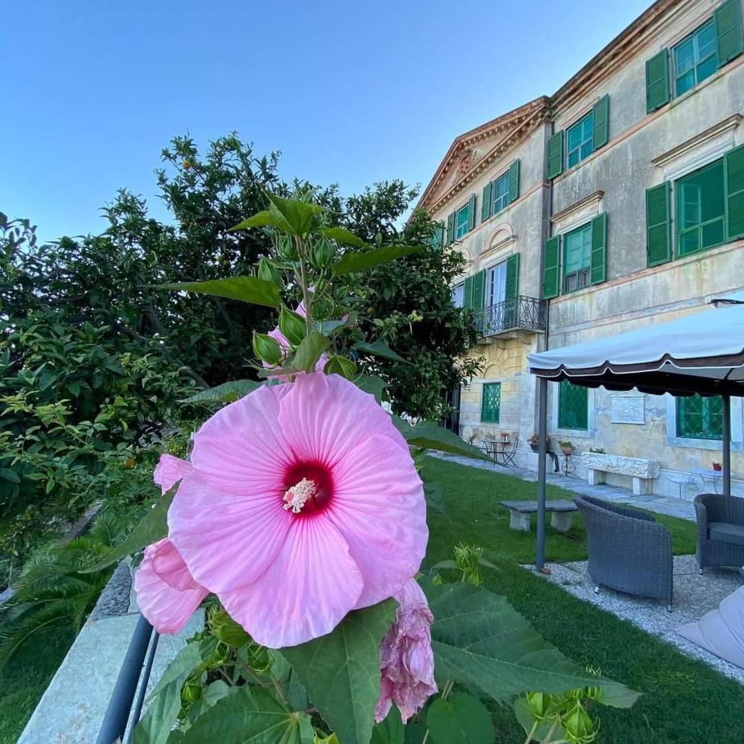 Agriturismo Villa Cavallini Camaiore Exterior foto